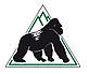 The IGCP logo - © igcp the IGCP logo