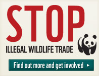 STOP Illegal Wildlife Trade