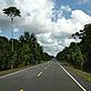 New road in Iquitos region, Peru