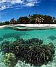 Coral reef © WWF-Canon / Jürgen FREUND