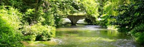 The River Itchen