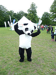 Jo Rawlings as Panda