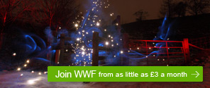 Join WWF for as little as £3 a month
