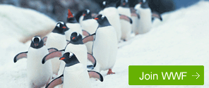 Join WWF