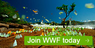 Join WWF Today