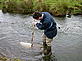 Sampling on the River - WWF Northern Ireland Sampling on the River