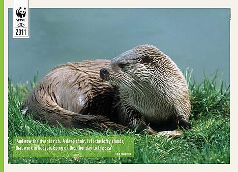 Learn Autumn 2011 - Freshwater - poster