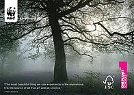 Learn Autumn 2009 - Forests