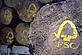 WWF FSC wood FSC wood