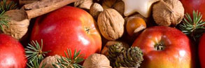 Livewell Christmas