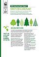 WWF Living Forests Report: Chapter 1