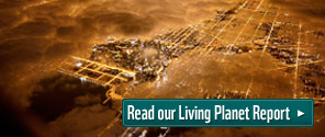 Read our Living Planet Report