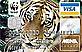 Apply for a WWF MBNA credit card by calling 0800 028 2440