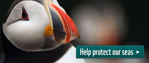 Help protect our seas