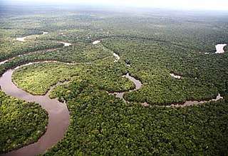 Aerial view of the Amazon River - Brent Stirton Aerial view of the Amazon River