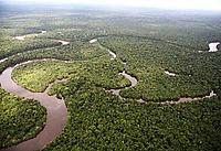 Aerial view of the Amazon River