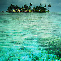 Carrie Bow Cay & shallow Agaricia species Coral island on Barrier Reef Belize