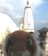 Monkey temple - Nepal diary