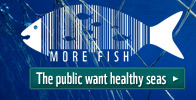 Read the survey results on sustainable seas