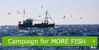 Campaign for MORE FISH