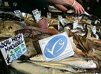 Local fish, sustainably fished