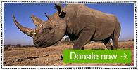 Donate now