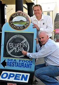 Bob McCoubrey of Mourne Seafood Bar (right) joins Geoff Nuttall of WWF Northern Ireland to urge retailers, restaurants and consumers to give Atlantic bluefin tuna a break. Stocks could disappear as soon as 2012 unless the current fishing frenzy stops. - © Aaron McCracken, Harrison Photography Give Atlantic bluefin tuna a break