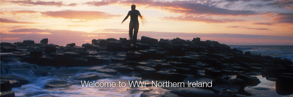 Giant's causeway, Northern Ireland