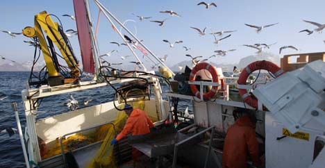 Norwegian fishing vessel, Lofoten Islands