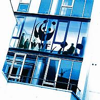 WWF Northern Ireland