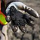 Canadian tar sands