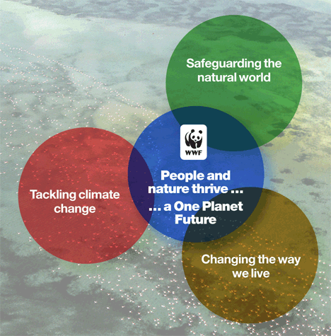 Our vision for a One Planet Future