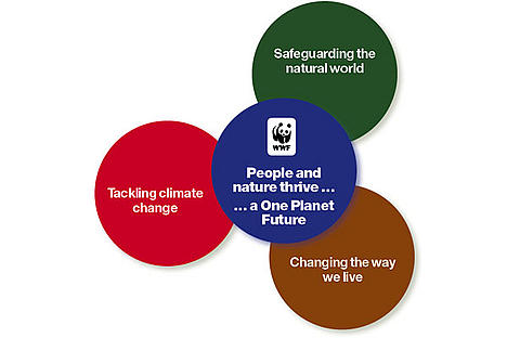 WWF-UK Strategic Plan, What we do