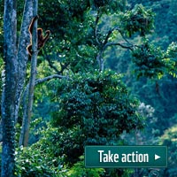 Take action