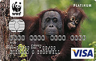 MBNA Visa card - Orang-utan