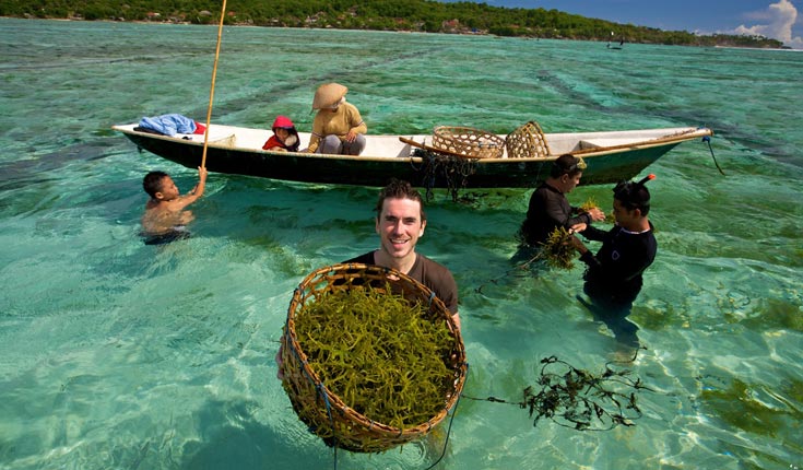 Simon Reeve in Indonesia, helping to harvest seaweed, a future food and a future fuel. © Craig Hastings Simon Reeve in Indonesia, helping to harvest seaweed, a future food and a future fuel. © Craig Hastings