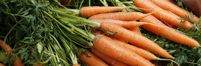 Organic carrots for sale