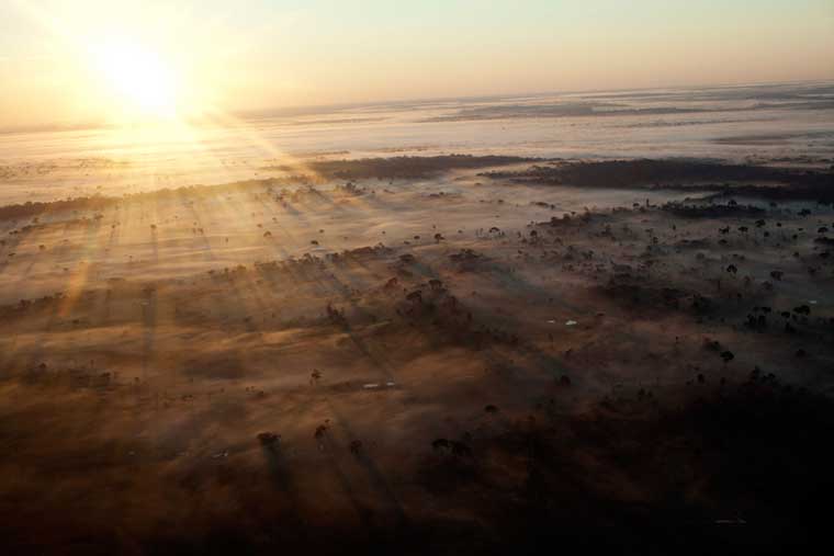 Images from Acre, Brazil © Per-Anders Pettersson Amazonas images © Per-Anders Pettersson