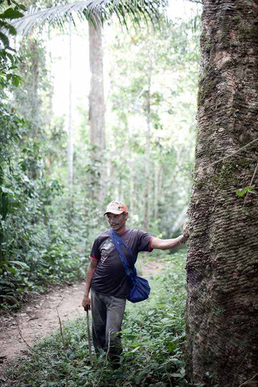 Images from Acre, Brazil © Per-Anders Pettersson Images from Acre, Brazil © Per-Anders Pettersson
