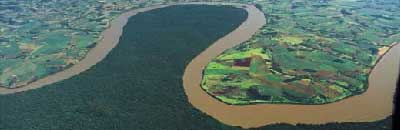 Amazon river showing forest on one bank and cultivated land on the other