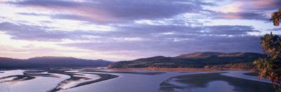 Amur floodplain. Far East. Russian Federation