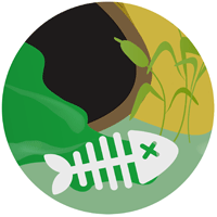 Vote for the worst river © Our Rivers partnership 