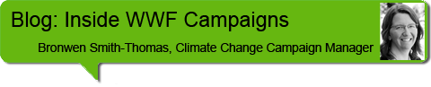 Campaigns blog header Bronwen