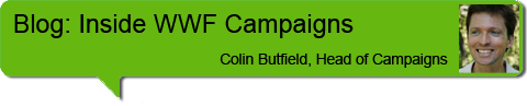Campaigns blog header Colin Butfield