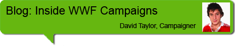 Campaigns blog header David Taylor