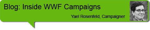 Campaigns blog header Yael