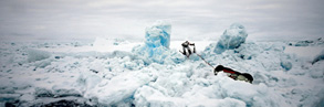 Catlin Arctic survey sea ice