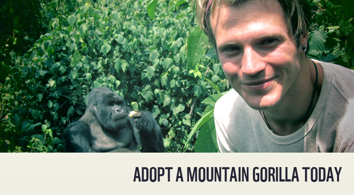 Adopt a baby gorilla with Dougie Poynter