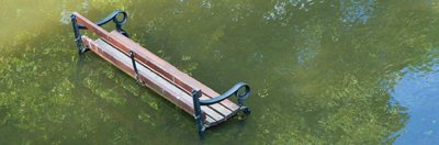 Bench in a flooded park