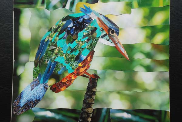 Kingfisher © Christian Cartwright Kingfisher © Christian Cartwright